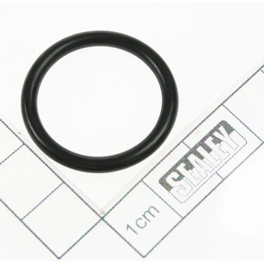 O-ring (so) [100/0105100]