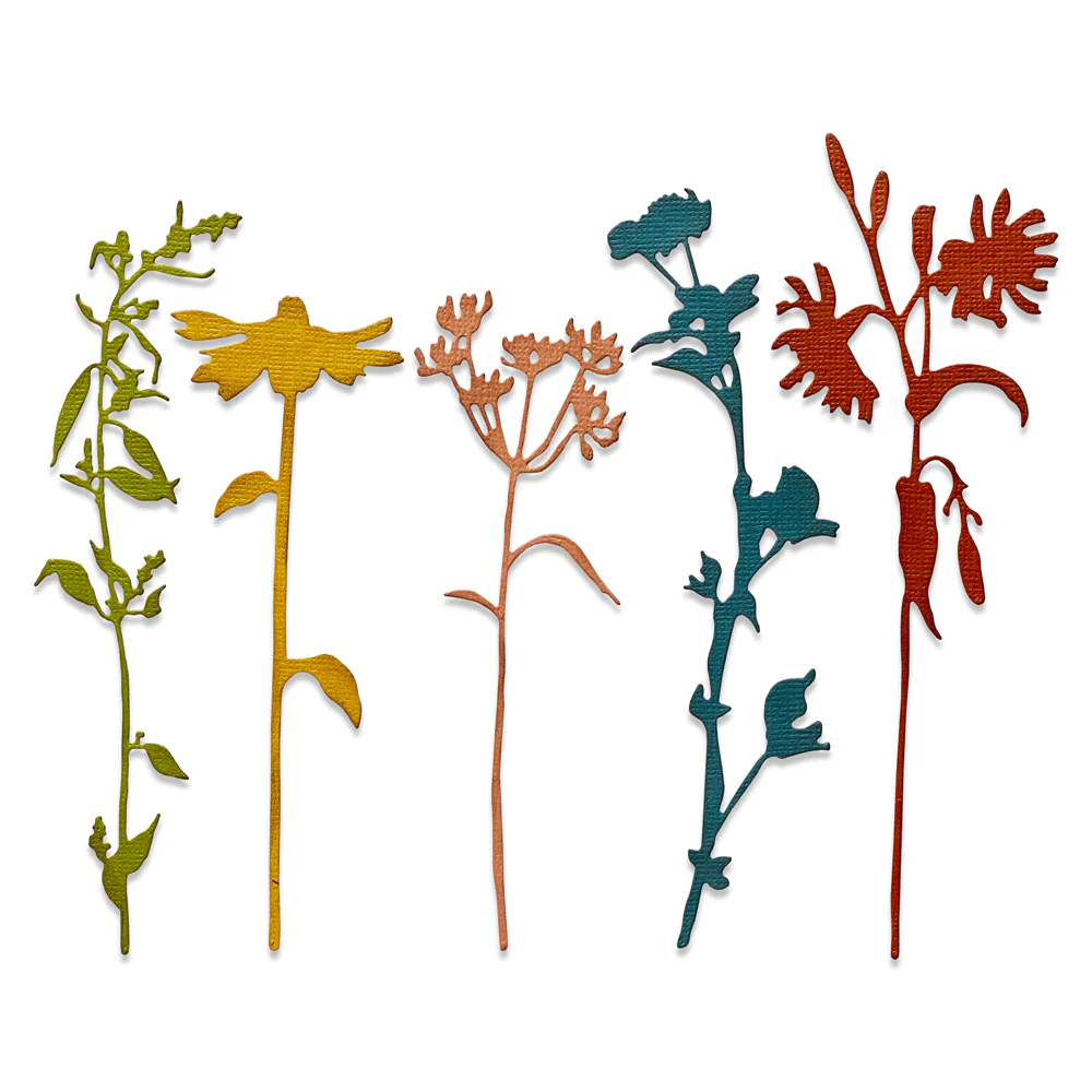 665221_1200x1200.webp Sizzix Thinlits Die Set 5PK - Wildflower Stems #3 by Tim Holtz