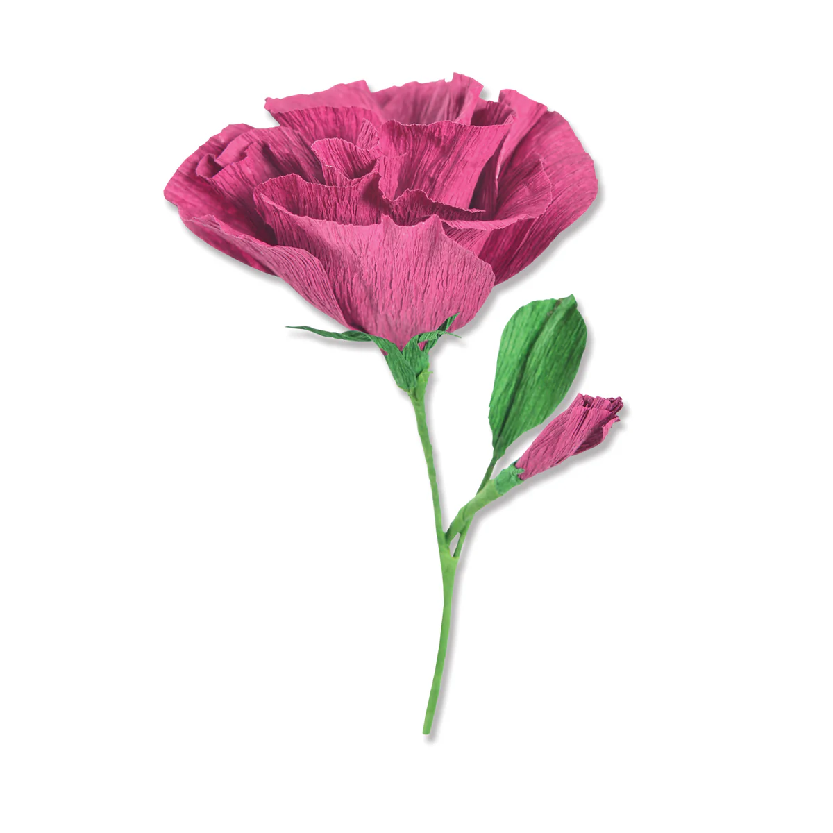 666246_lisianthus_web_1200x1200.webp Thinlits Die Set 7PK - Lisianthus by Alexis Trimble