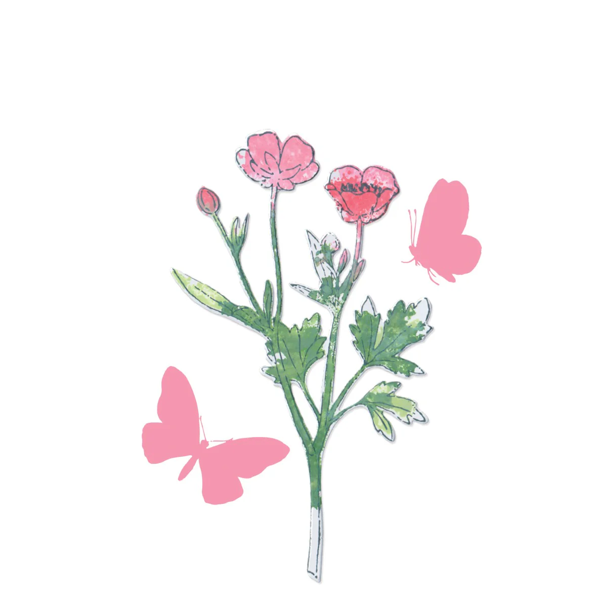 666635_painted_pencil_botanical_rgb_1200x1200.webp Sizzix A5 Clear Stamps Set 7PK w/ Framelits Die Set Painted Pencil Botanical by 49 and Market