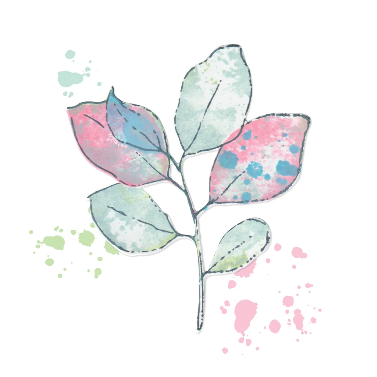 666636_painted_pencil_leaves_rgb_1200x1200.webp Sizzix A5 Clear Stamps Set 11PK w/ Framelits Die Set Painted Pencil Leaves by 49 and Market