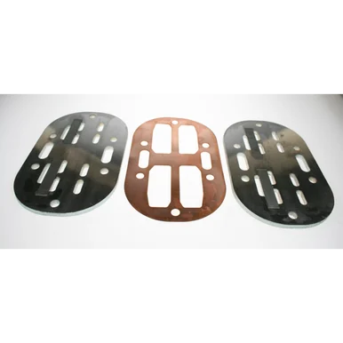 Valve plate [SAC4231160000]